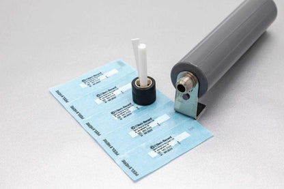 Dry Heat Spore Strips