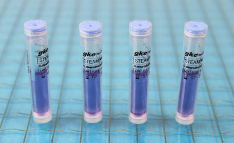 Biological indicator 24 Hours